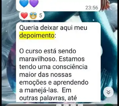Resultado do curso de Psicologia Positiva 15
