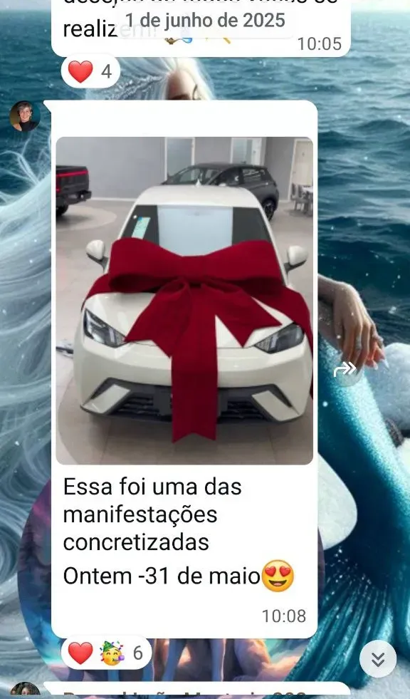 Prova de resultado da Mentoria dos Sonhos: Marta — o carro com laço